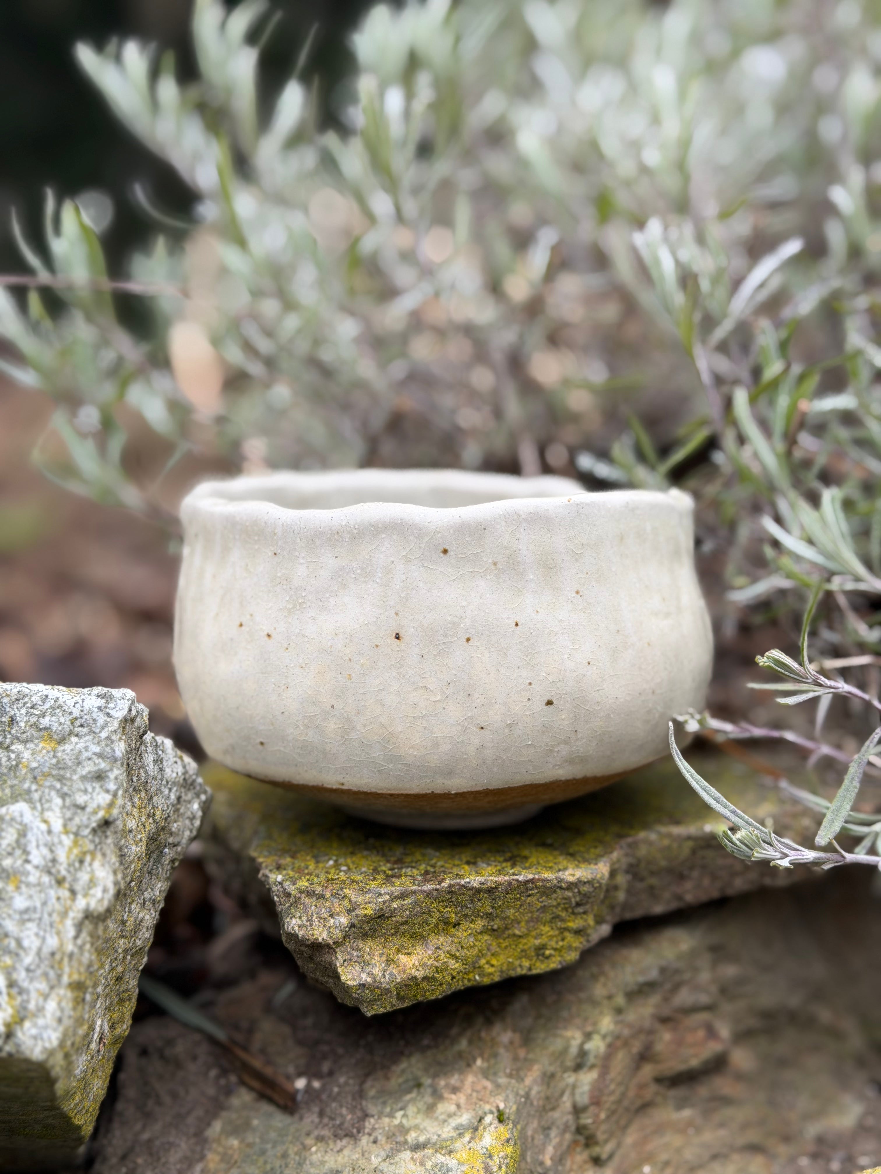 ZWEI - vollmond 01 - gruentone